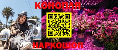 первитин Будённовск