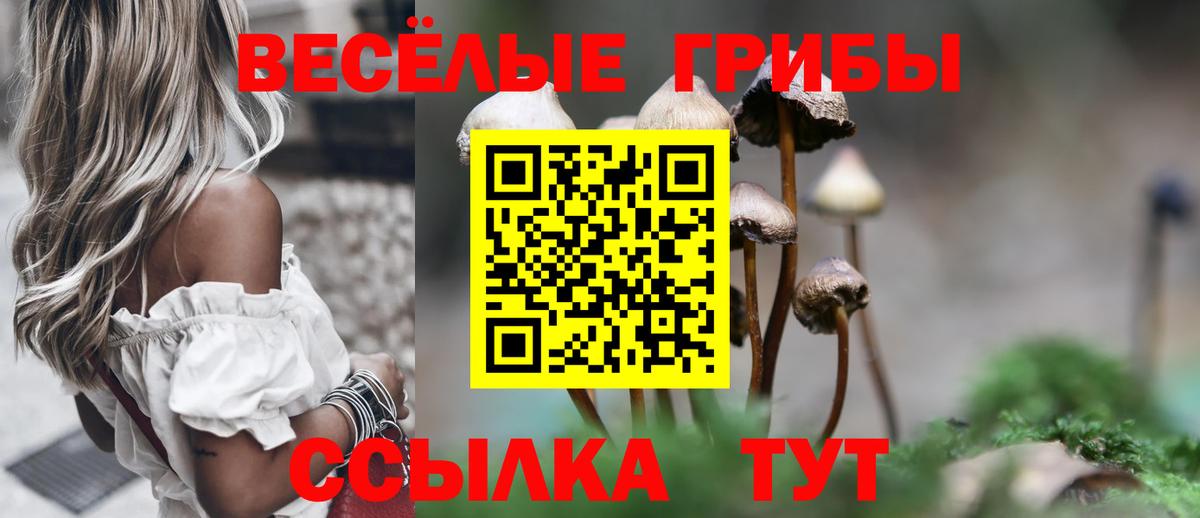 Галлюциногенные грибы Psilocybine cubensis  Галлюциногенные грибы Magic Shrooms  Электросталь  Вход с VPN 